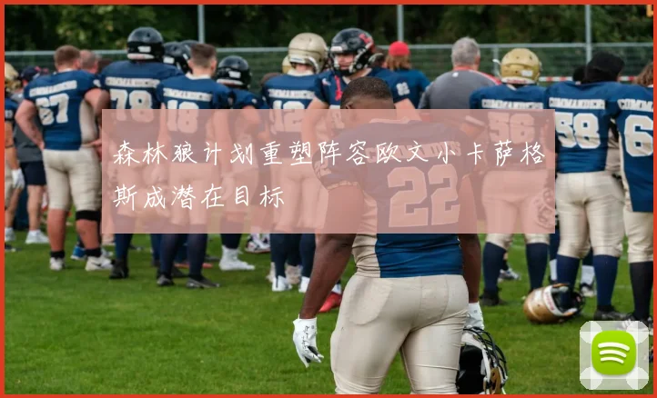 森林狼计划重塑阵容欧文小卡萨格斯成潜在目标