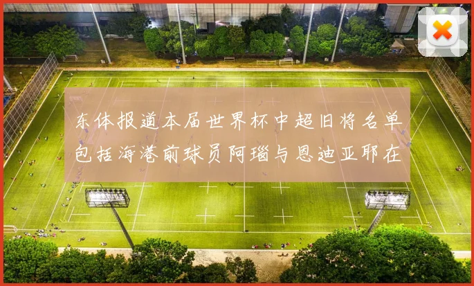 东体报道本届世界杯中超旧将名单包括海港前球员阿瑙与恩迪亚耶在内的10位球员